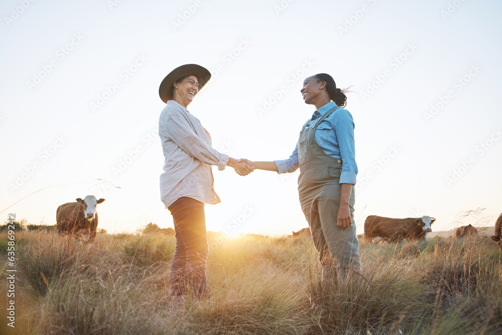 Farm, handshake and women with b2b sale, deal or agreement for small business partnership. Agro, thank you and farmer people shaking hands for farming, collaboration and cattle supply chain support